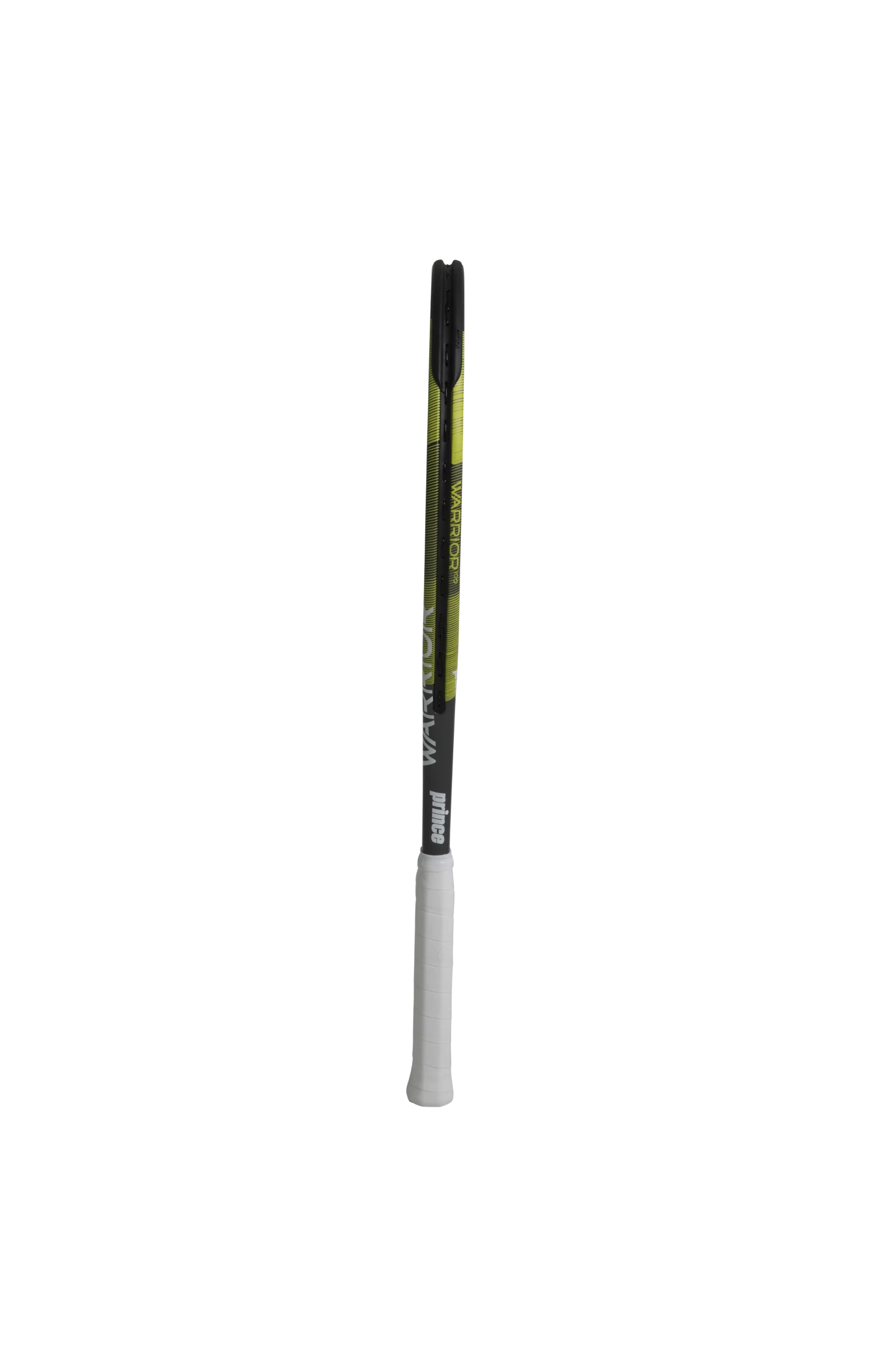 Prince Warrior 100 300G - Image 2